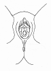 perineo fem